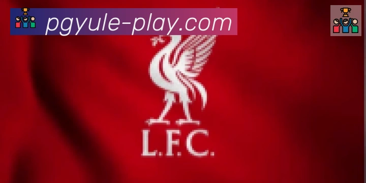 pg娱乐合作伙伴